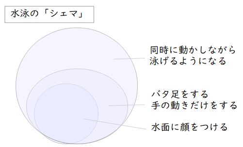 水泳の「シェマ」image