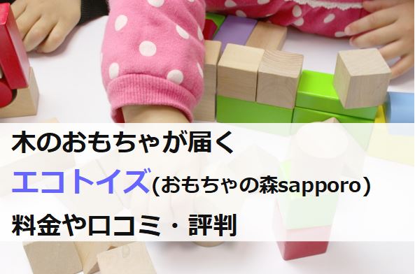 木のおもちゃが届くエコトイズの料金や口コミ・評判