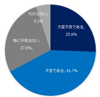 プログラミング教育への不安